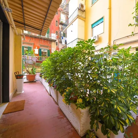 בית הארחה Domus 42 4*